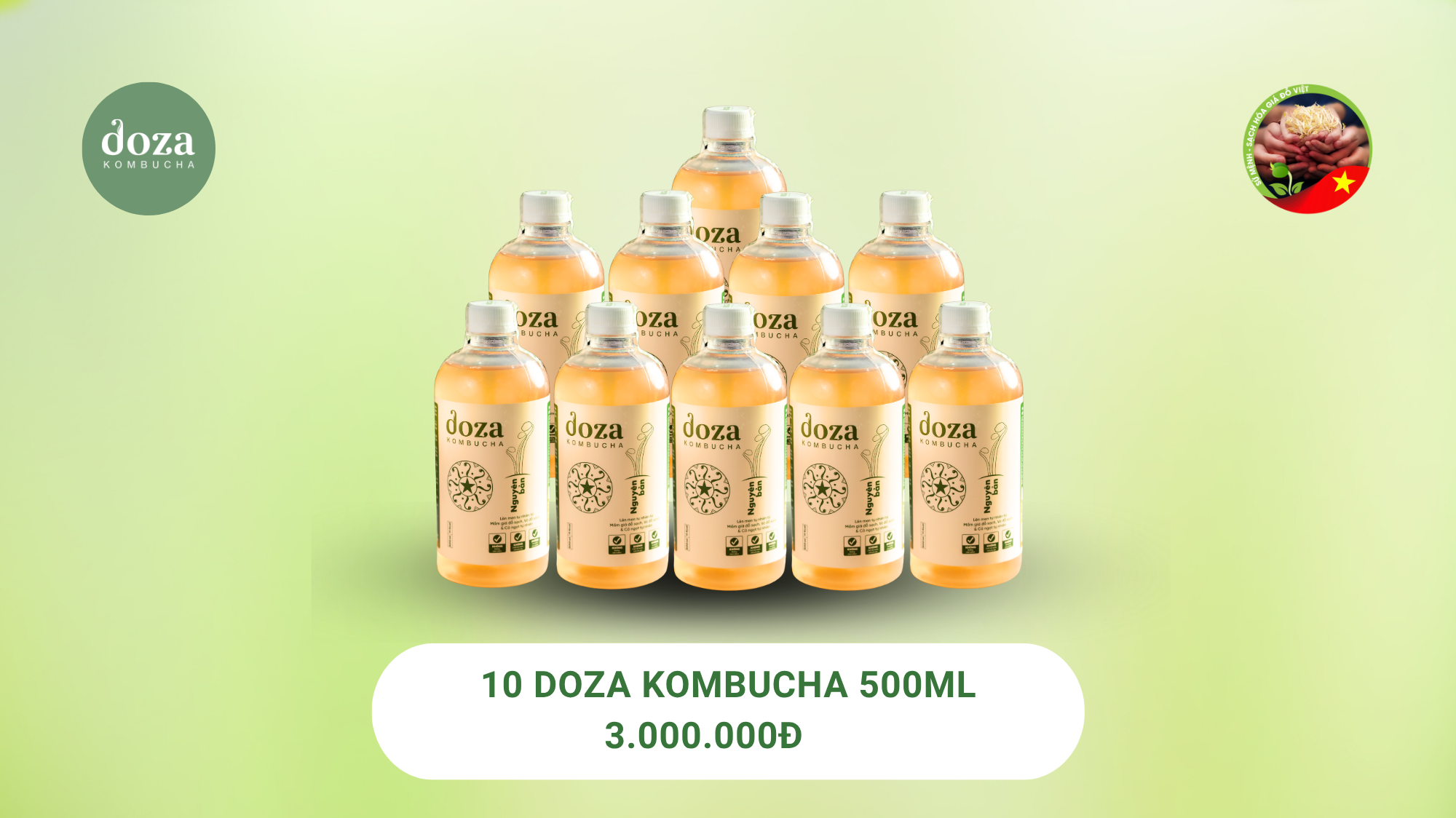 10 chai Doza Kombucha nguyên bản
