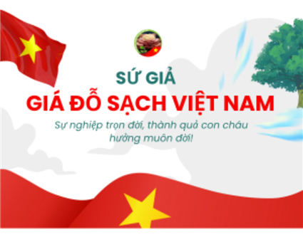 Hành trình Sứ giả giá đỗ sạch Việt Nam